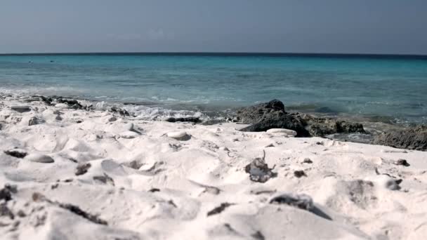 4k Aufnahme eines fantastischen Strandes in der Karibik — Stockvideo