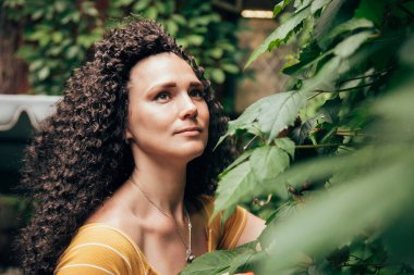 Afro kıvırcık saçlı güzel bir kadın. Parlak bir kadın portresi. Güzel gülüşlü bir model.