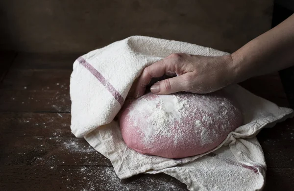 Roze Biet Brood Deeg Proofing Vrouw Hand Openen Keukendoek Donkere — Stockfoto