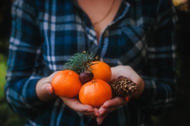Ekose gömlekli kadın eline bir mandalina, koni, köknar dalı ve kestane alır..