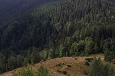 Karpatların sihirli dağları