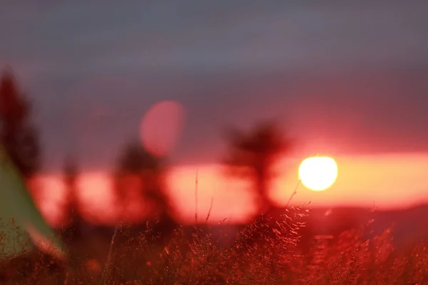 Волшебный Восход Солнца Над Горами — стоковое фото