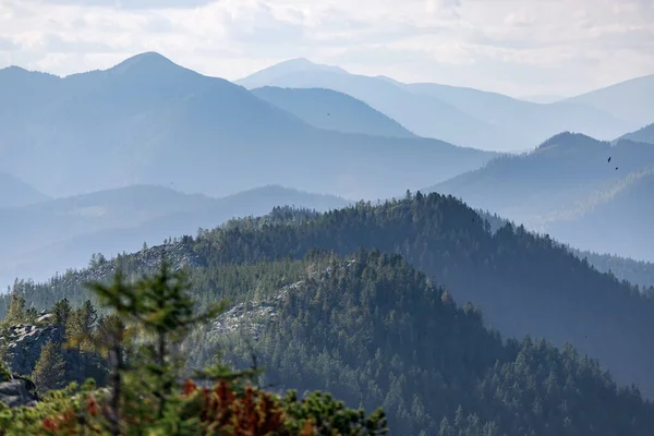 Montañas Mágicas Los Cárpatos — Foto de Stock