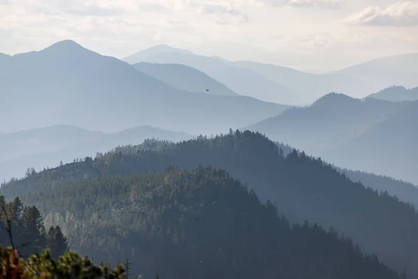 Montañas Mágicas Los Cárpatos — Foto de Stock