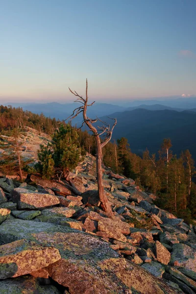 Magic mountains of the Carpathians