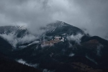 Karpat Ormanı 'nın büyüsü
