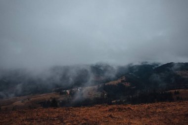 Karpat Ormanı 'nın büyüsü