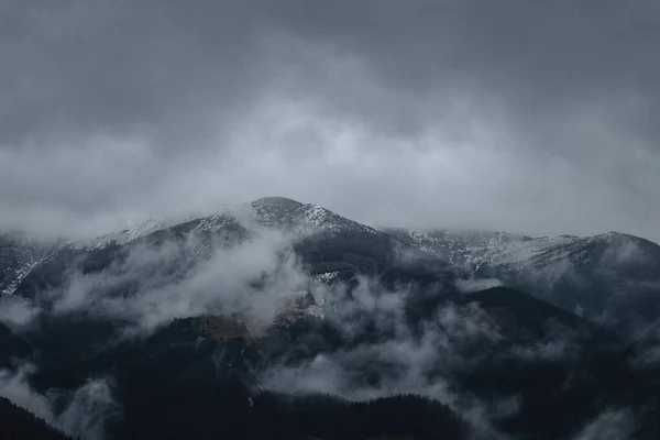 Den Karpatiska Skogens Magi — Stockfoto