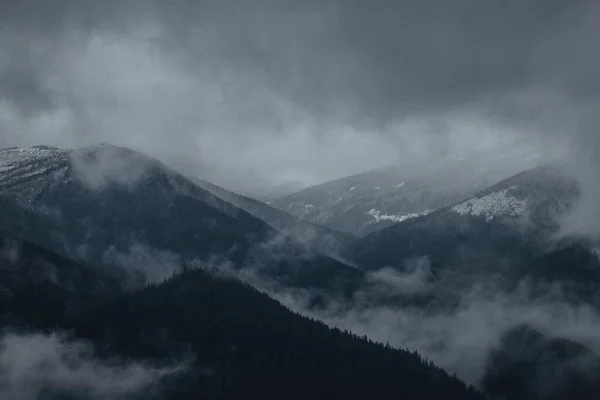 喀尔巴阡山森林的魔力 — 图库照片