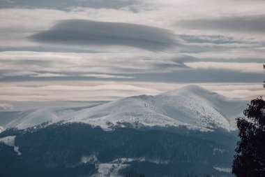 Karpatların güzel, karlı zirveleri