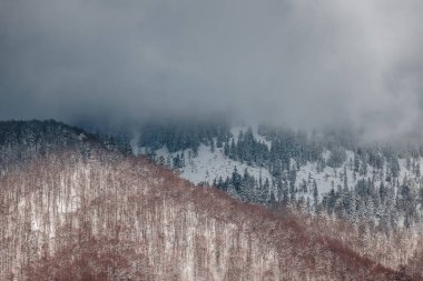Karpat Dağlarının Karlı Tepeleri