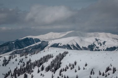 Karpat Dağlarının Karlı Tepeleri