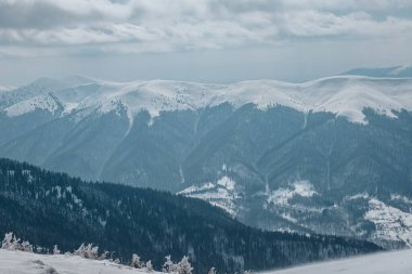 Karpat Dağlarının Karlı Tepeleri