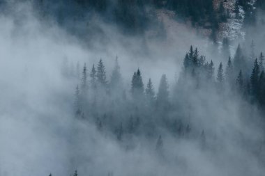 Carpathian dağlarının gizemli zirveleri