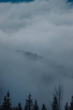 Carpathian dağlarının gizemli zirveleri
