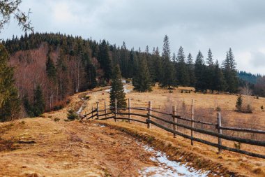 Karpatya dağları, kış, karlı zirveler, bulutlar