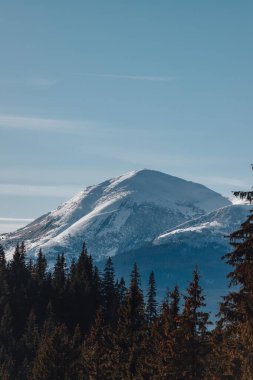 Karpatya dağları, kış, karlı tepeler, viyadük, at