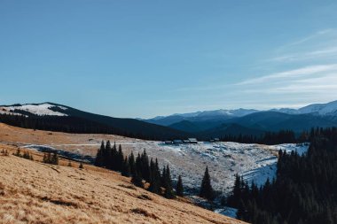 Karpatya dağları, kış, karlı tepeler, viyadük, at