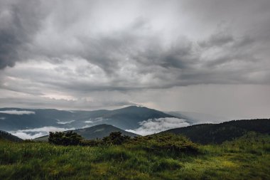 Karpat dağları, yaz, bulutlar, yağmur