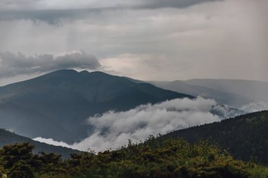 Karpat dağları, yaz, bulutlar, yağmur