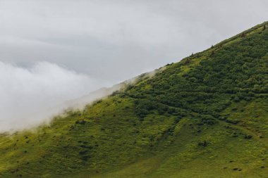 Karpat dağları, yaz, bulutlar, yağmur