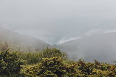 Karpat dağları, yaz, bulutlar, yağmur
