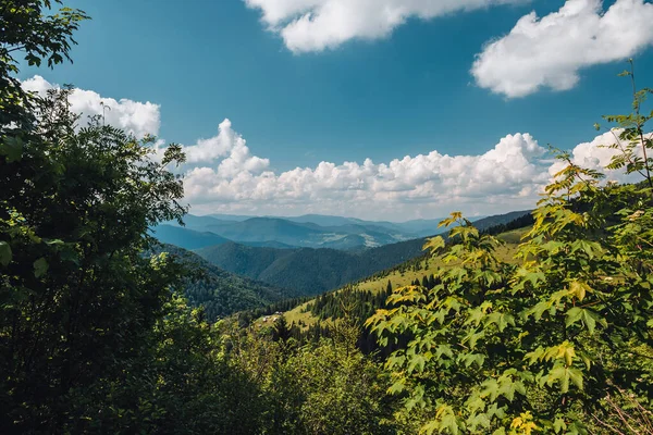 Karpat dağları, yaz, bulutlar, yağmur