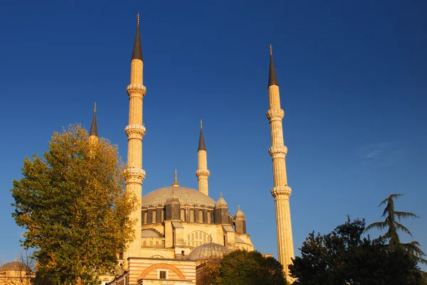 Selimiye mosque — Stockfoto