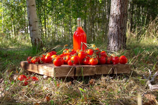 Pomidory Sokiem Pomidorowym Świeże Zbiory Drewnianej Desce Lesie — Zdjęcie stockowe