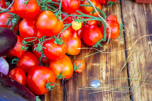Warzywa Zbiorowe Czerwone Pomidory Bakłażany Drewnianej Desce Przyrodzie Zbliżenie — Zdjęcie stockowe