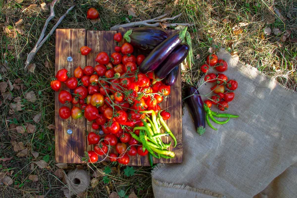 Warzywa Zbiorów Papryka Pomidory Bakłażany Desce Drewnianej Płótnie Przyrodzie — Zdjęcie stockowe