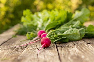 Eski ahşap bir masada taze turp, yeşil arka planda yapraklarla detaylı bir plan.