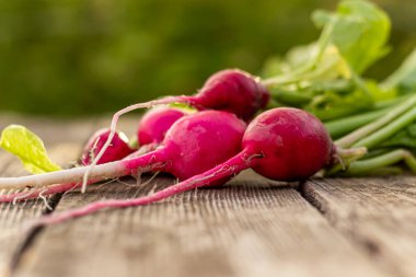 Eski ahşap bir masada taze turp, yeşil arka planda yapraklarla detaylı bir plan.