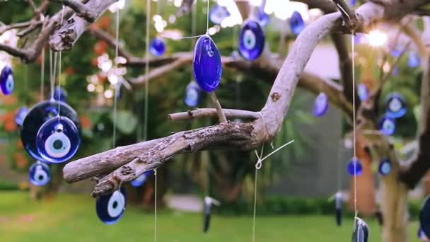 Baum Mit Hängenden Amuletten Aus Dem Bösen Auge Nazar Nazar — Stockvideo