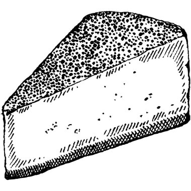 Cheesecake beyaz arka planda izole edilmiş. El çizimi vektör çizimi. Retro biçimi.