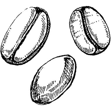 - Kahve. Simge ayarlandı. Beyaz arka planda izole kahve çekirdekleri.