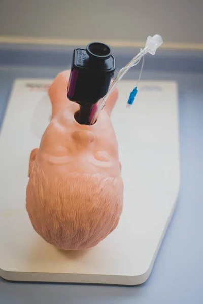 A medical training manikin on a table for medical students, anaesthetists and anaesthesiologists to practice endotracheal intubation.