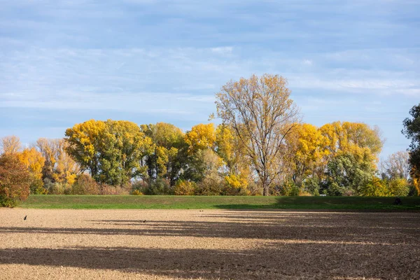 Hermoso Paisaje Otoño Colorido Alemania — Foto de Stock