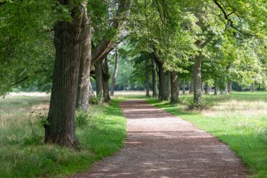 Solucan Şehri 'ne park et. Parlak bir gün, Almanya