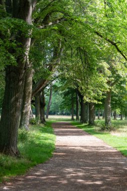 Solucan Şehri 'ne park et. Parlak bir gün, Almanya