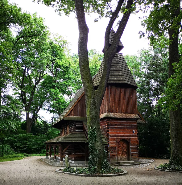 Βοτανικός Κήπος Του Wroclaw Πολωνία Ευρώπη — Φωτογραφία Αρχείου