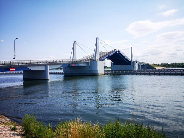 Pták Řece Umělecký Vzhled Barvách Drawbridge Přes Řeku Dead Vistula — Stock fotografie