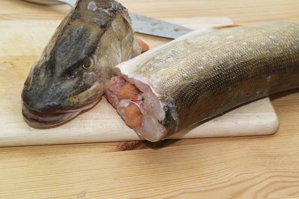 Lucio de pescado . — Foto de Stock