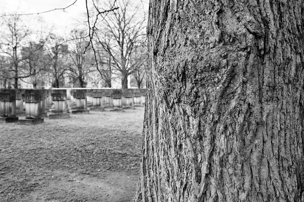 Nécropole Gdansk Zaspa, Pologne. Look artistique en noir et blanc — Photo