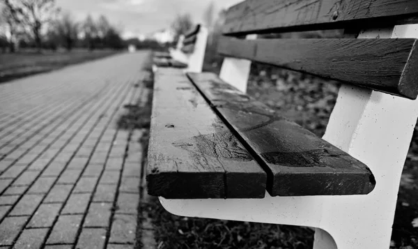 El banco en blanco y negro . — Foto de Stock