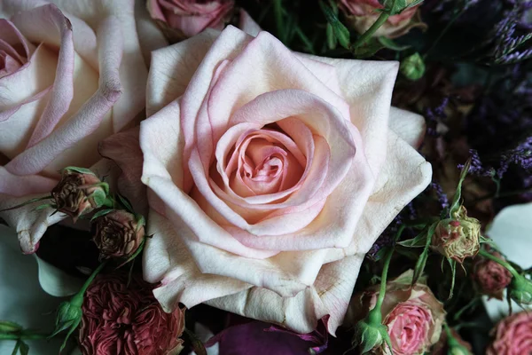 Beautifu florist composition. — Stock Photo, Image