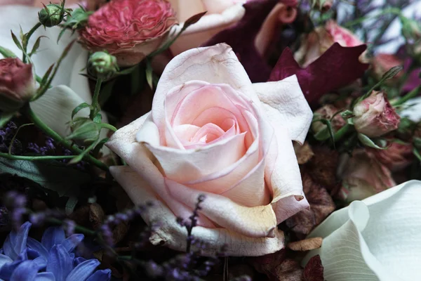 おしゃれ花屋組成. — ストック写真