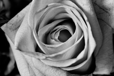 Durağındayım çiçekçi kompozisyon.