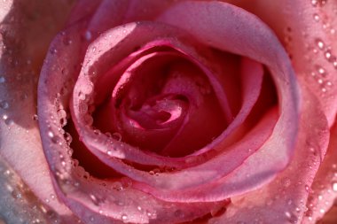 Durağındayım çiçekçi kompozisyon.