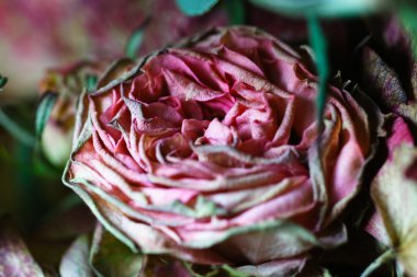 Durağındayım çiçekçi kompozisyon.